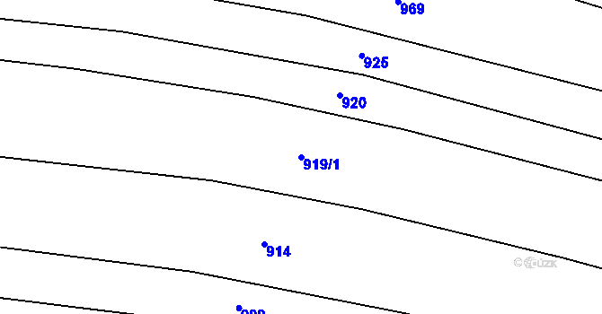 Parcela st. 919/1 v KÚ Březí u Trhových Svinů, Katastrální mapa