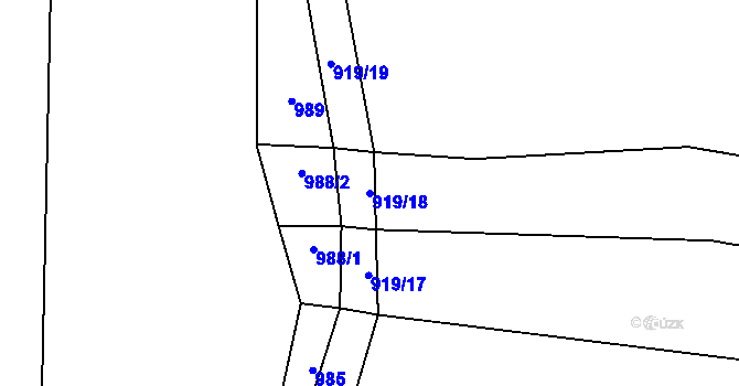 Parcela st. 919/18 v KÚ Březí u Trhových Svinů, Katastrální mapa