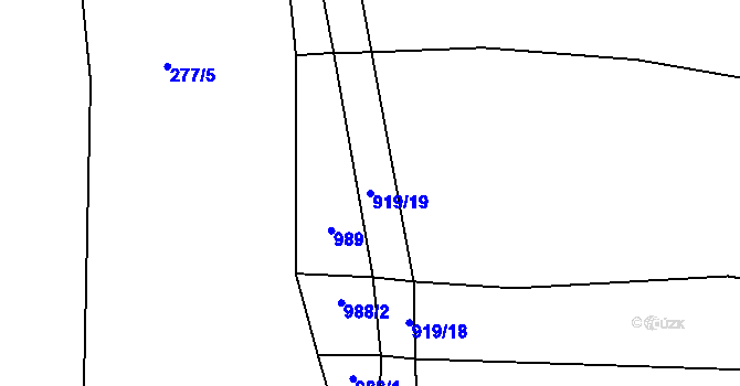 Parcela st. 919/19 v KÚ Březí u Trhových Svinů, Katastrální mapa