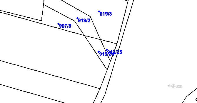 Parcela st. 919/24 v KÚ Březí u Trhových Svinů, Katastrální mapa