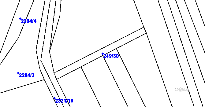 Parcela st. 249/30 v KÚ Nechvalín, Katastrální mapa