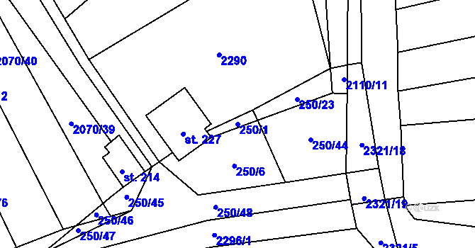 Parcela st. 250/1 v KÚ Nechvalín, Katastrální mapa