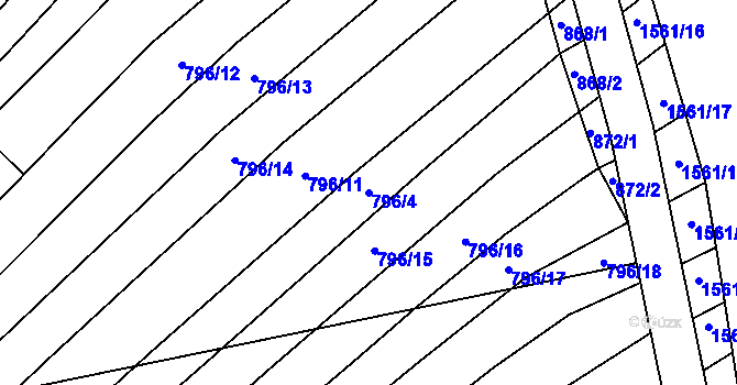 Parcela st. 796/4 v KÚ Nechvalín, Katastrální mapa