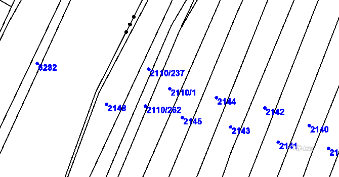 Parcela st. 2110/1 v KÚ Nechvalín, Katastrální mapa