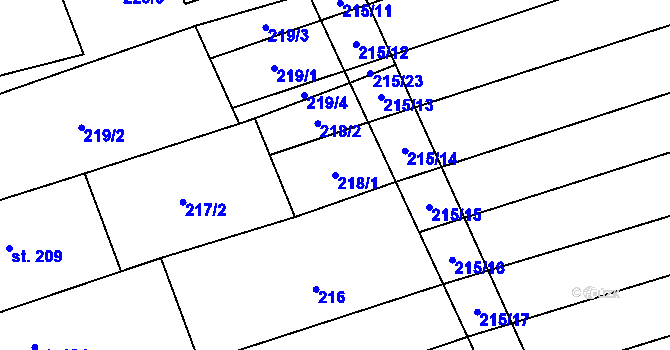 Parcela st. 218/1 v KÚ Nechvalín, Katastrální mapa