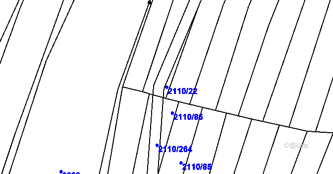 Parcela st. 2110/22 v KÚ Nechvalín, Katastrální mapa