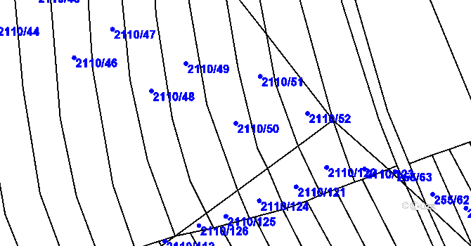 Parcela st. 2110/50 v KÚ Nechvalín, Katastrální mapa