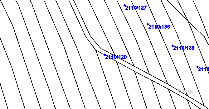 Parcela st. 2110/120 v KÚ Nechvalín, Katastrální mapa