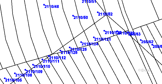 Parcela st. 2110/124 v KÚ Nechvalín, Katastrální mapa