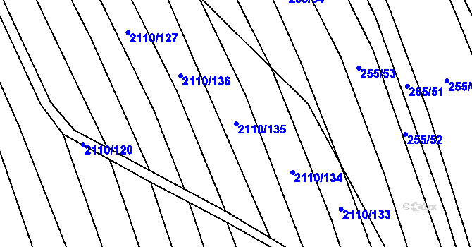 Parcela st. 2110/135 v KÚ Nechvalín, Katastrální mapa