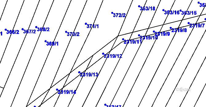 Parcela st. 2319/12 v KÚ Nechvalín, Katastrální mapa