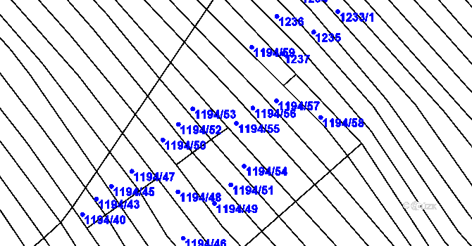 Parcela st. 1194/55 v KÚ Nechvalín, Katastrální mapa