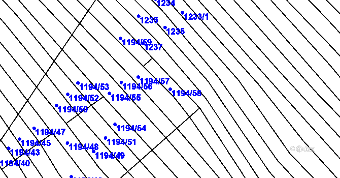Parcela st. 1194/58 v KÚ Nechvalín, Katastrální mapa
