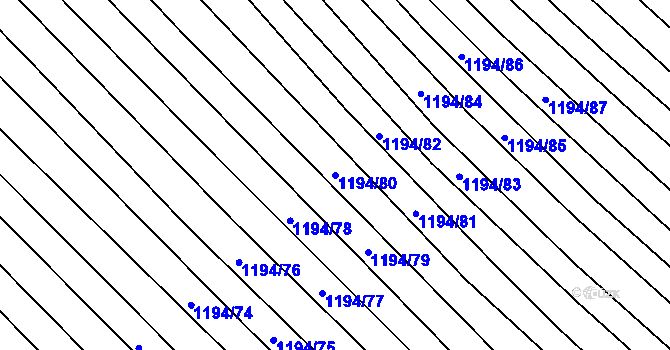 Parcela st. 1194/80 v KÚ Nechvalín, Katastrální mapa