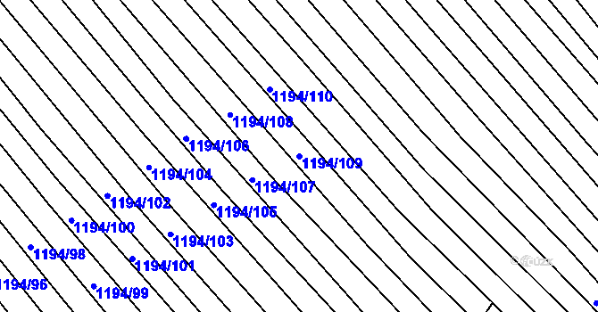 Parcela st. 1194/109 v KÚ Nechvalín, Katastrální mapa