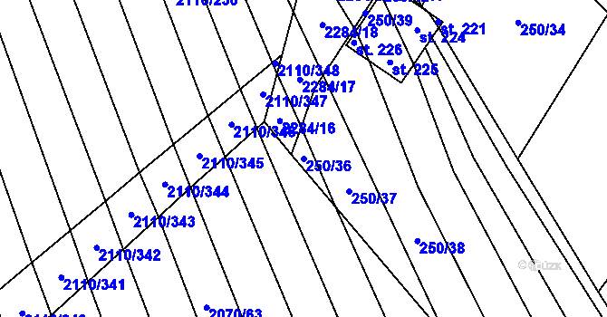 Parcela st. 250/36 v KÚ Nechvalín, Katastrální mapa
