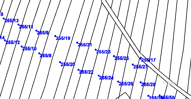 Parcela st. 255/23 v KÚ Nechvalín, Katastrální mapa