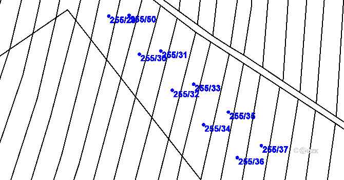 Parcela st. 255/32 v KÚ Nechvalín, Katastrální mapa