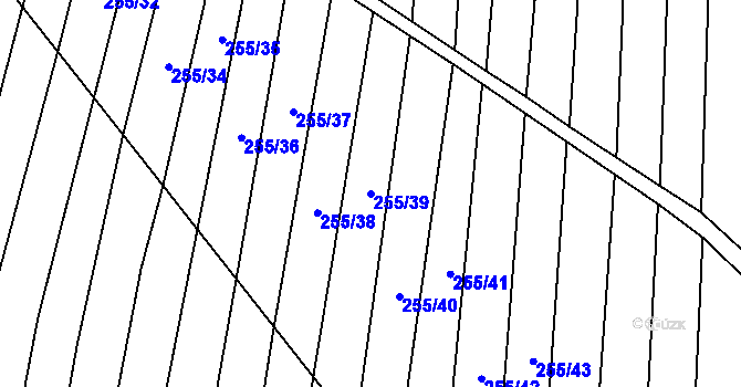 Parcela st. 255/39 v KÚ Nechvalín, Katastrální mapa
