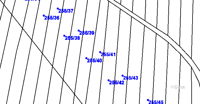 Parcela st. 255/41 v KÚ Nechvalín, Katastrální mapa
