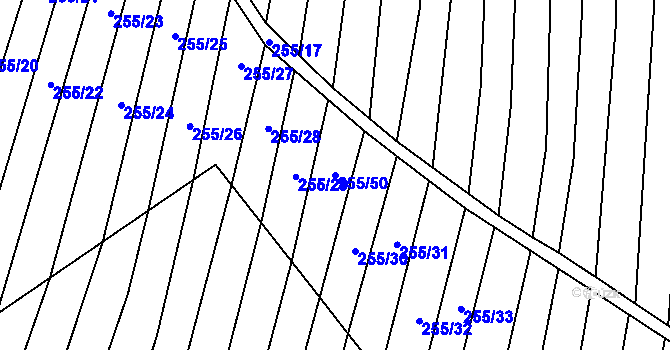 Parcela st. 255/50 v KÚ Nechvalín, Katastrální mapa