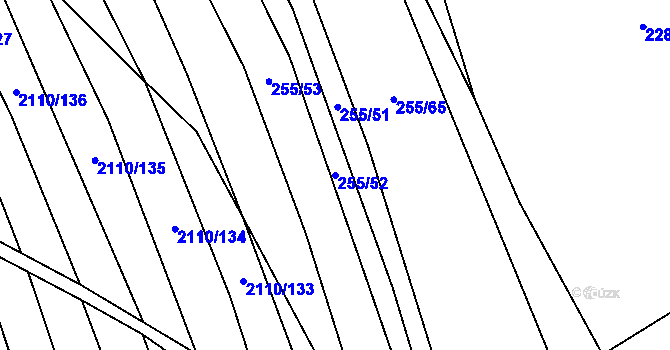 Parcela st. 255/52 v KÚ Nechvalín, Katastrální mapa