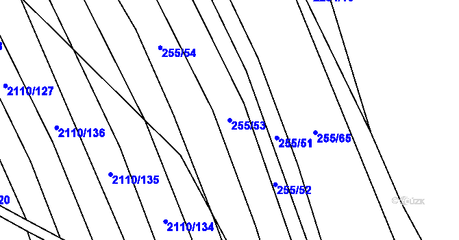 Parcela st. 255/53 v KÚ Nechvalín, Katastrální mapa