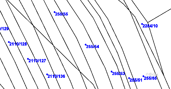 Parcela st. 255/54 v KÚ Nechvalín, Katastrální mapa
