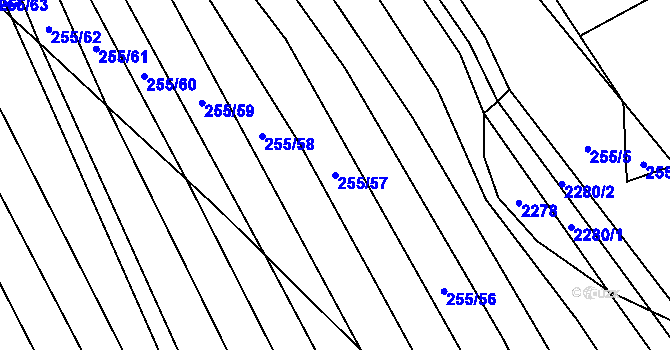 Parcela st. 255/57 v KÚ Nechvalín, Katastrální mapa