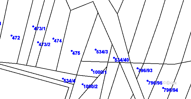 Parcela st. 534/3 v KÚ Nechvalín, Katastrální mapa