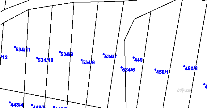 Parcela st. 534/7 v KÚ Nechvalín, Katastrální mapa