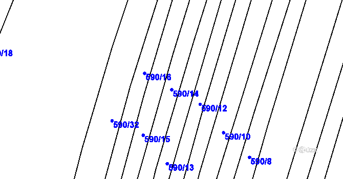Parcela st. 590/14 v KÚ Nechvalín, Katastrální mapa