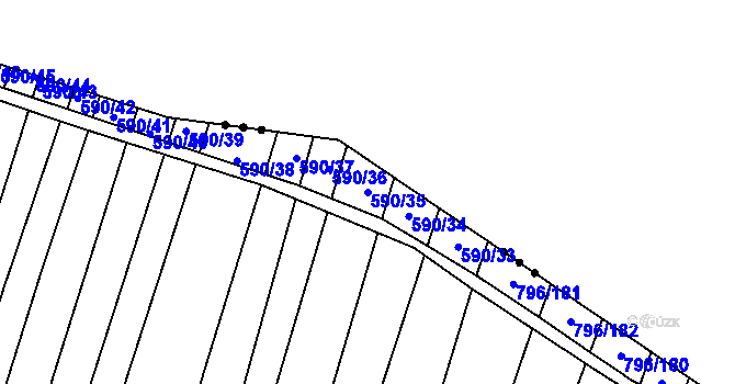 Parcela st. 590/35 v KÚ Nechvalín, Katastrální mapa