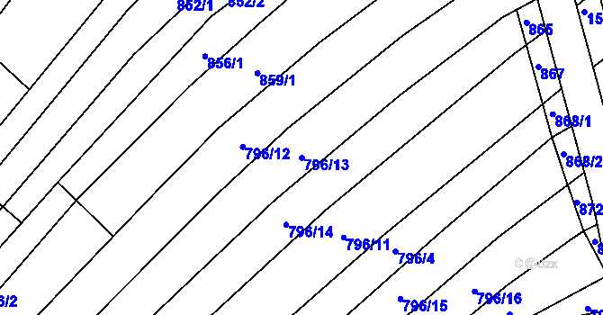 Parcela st. 796/13 v KÚ Nechvalín, Katastrální mapa