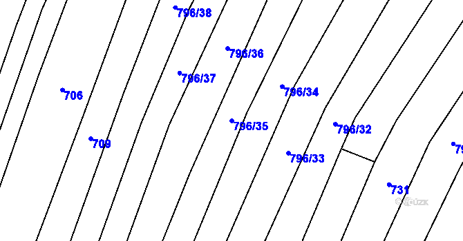 Parcela st. 796/35 v KÚ Nechvalín, Katastrální mapa