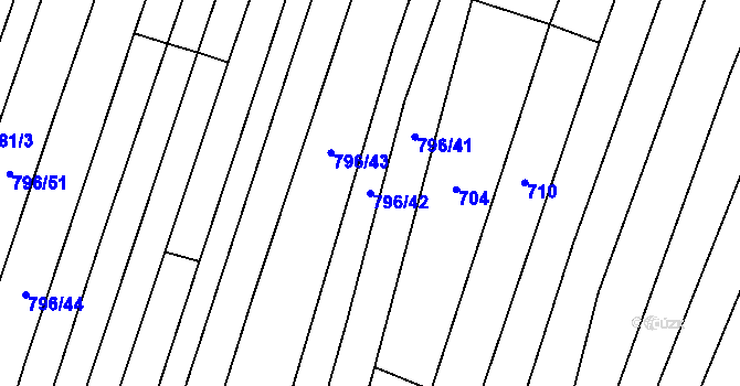 Parcela st. 796/42 v KÚ Nechvalín, Katastrální mapa