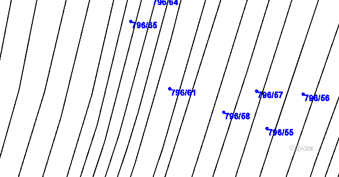 Parcela st. 796/61 v KÚ Nechvalín, Katastrální mapa