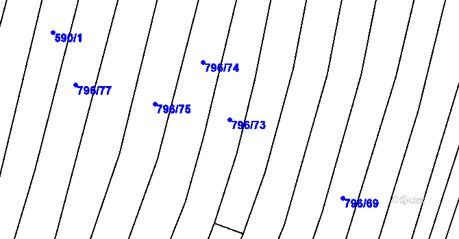 Parcela st. 796/73 v KÚ Nechvalín, Katastrální mapa