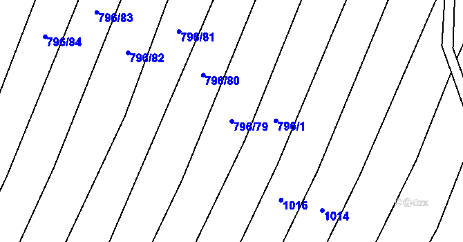 Parcela st. 796/79 v KÚ Nechvalín, Katastrální mapa