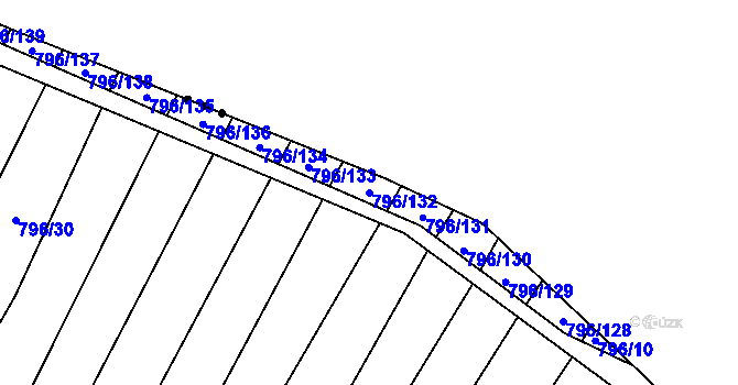 Parcela st. 796/132 v KÚ Nechvalín, Katastrální mapa