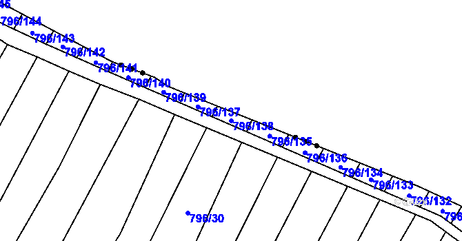 Parcela st. 796/138 v KÚ Nechvalín, Katastrální mapa
