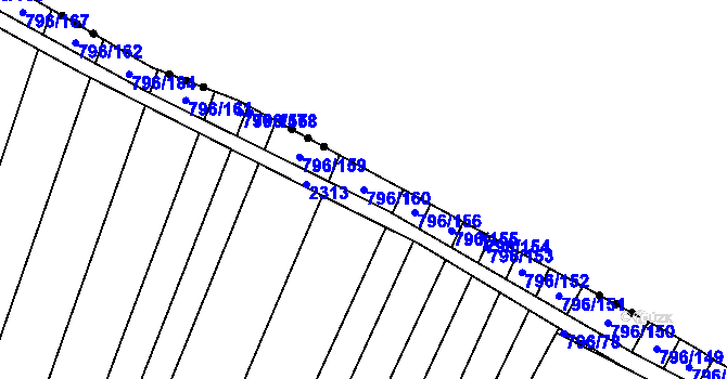 Parcela st. 796/160 v KÚ Nechvalín, Katastrální mapa