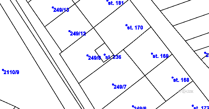 Parcela st. 236 v KÚ Nechvalín, Katastrální mapa