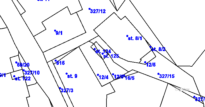 Parcela st. 125 v KÚ Nejepín, Katastrální mapa