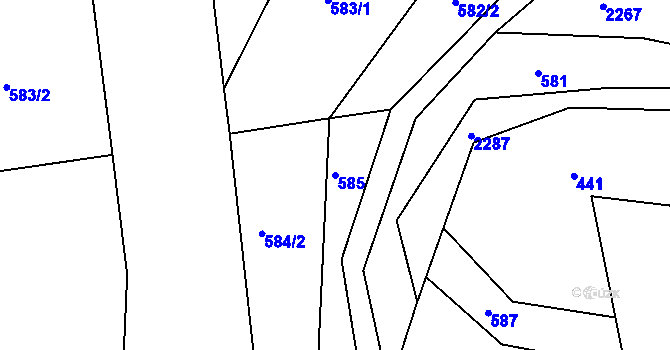 Parcela st. 585 v KÚ Nekvasovy, Katastrální mapa