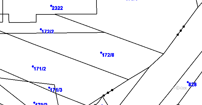 Parcela st. 172/8 v KÚ Nekvasovy, Katastrální mapa