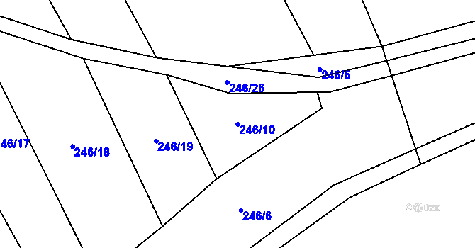 Parcela st. 246/10 v KÚ Lešany u Nelahozevsi, Katastrální mapa