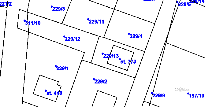 Parcela st. 229/13 v KÚ Nelahozeves, Katastrální mapa