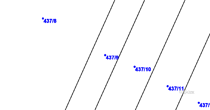 Parcela st. 437/9 v KÚ Němčičky nad Jevišovkou, Katastrální mapa