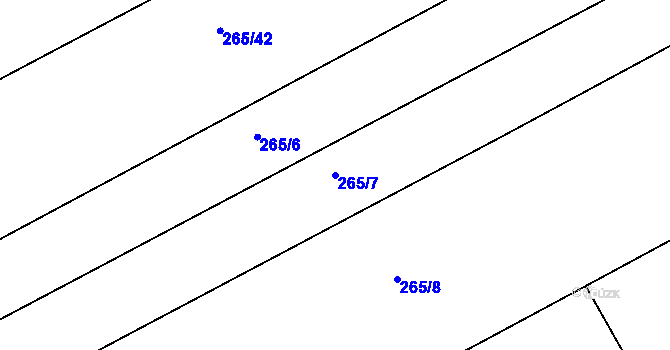 Parcela st. 265/7 v KÚ Němetice, Katastrální mapa